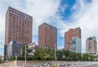 上海自动自动装箱机厂家直销